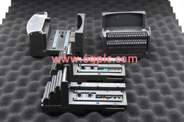 GE通用电气 IC670ALG240 输入分析模块