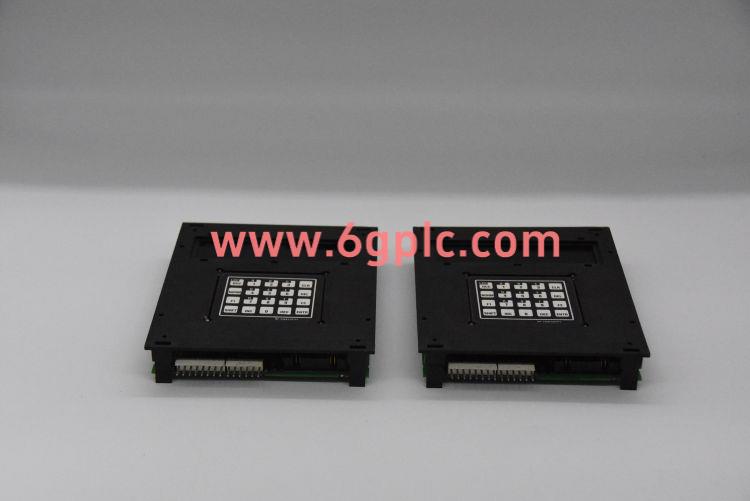 GE通用电气 IC200PWR101 电源模块