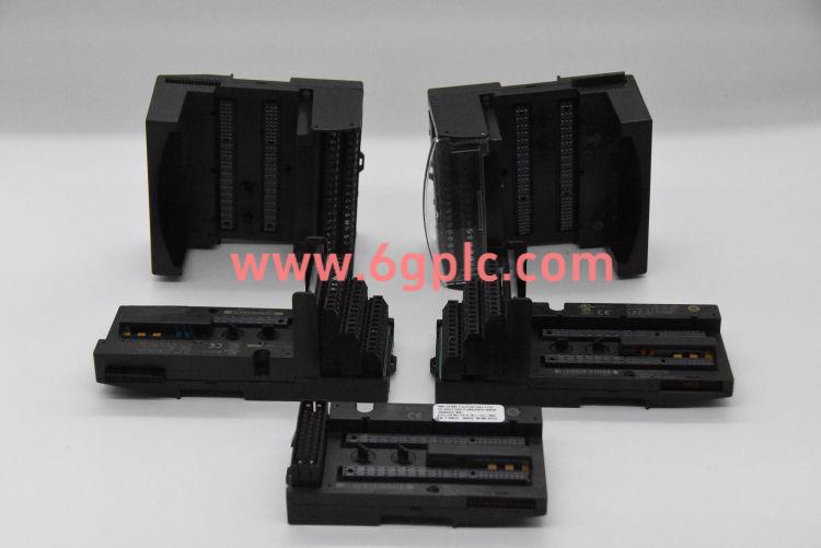 GE通用电气 820-0181 WESDAC D20 K 输入输出模块