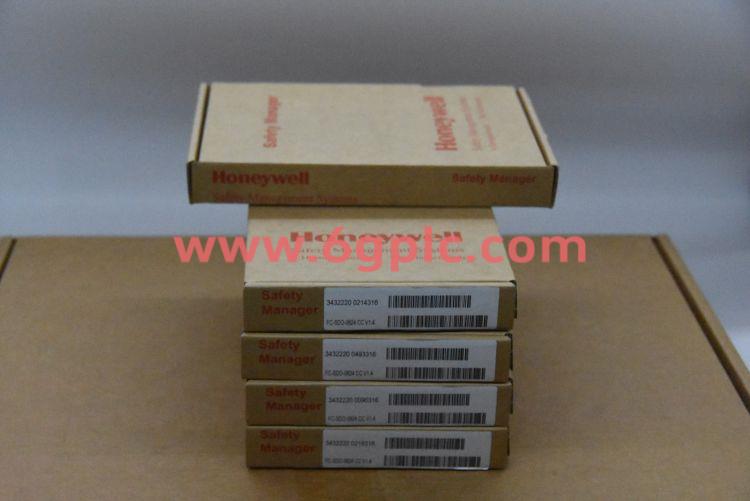 Honeywell霍尼韦尔 10313/1/1 终端模块