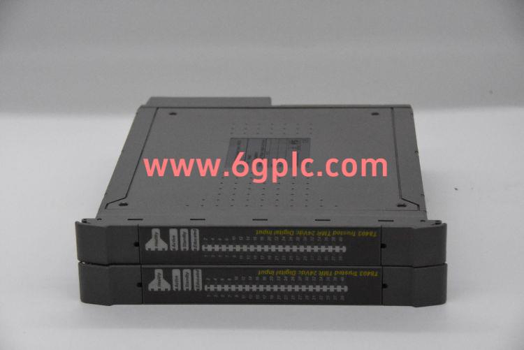 ICS Triplex T8300 控制器模块