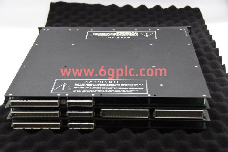 英维思 7400195-210 输入输出模块